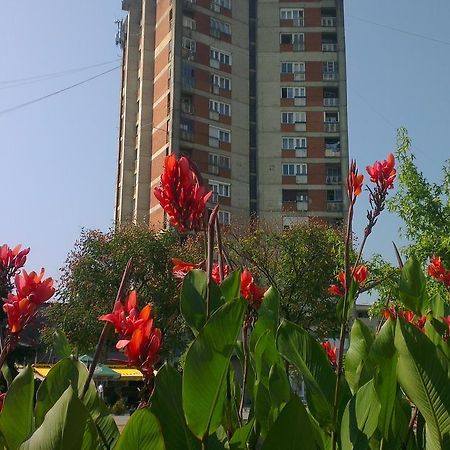 Hotel Konaciste Goc Trstenik Dış mekan fotoğraf