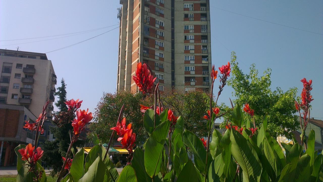 Hotel Konaciste Goc Trstenik Dış mekan fotoğraf